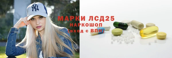прущий лед Абаза