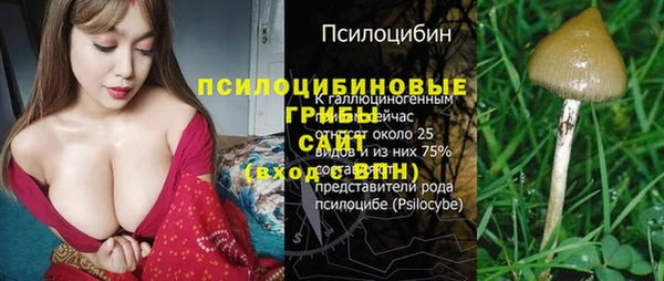 прущий лед Абаза
