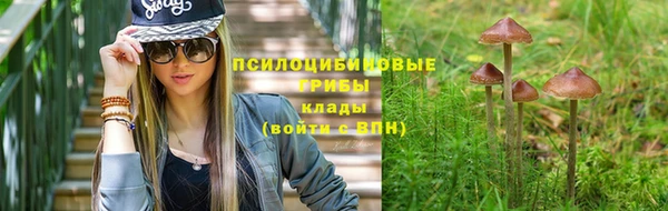 прущий лед Абаза